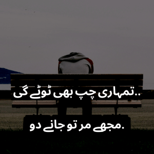 Sad Poetry | Sad Poetry in Urdu | Best Poetry 2021