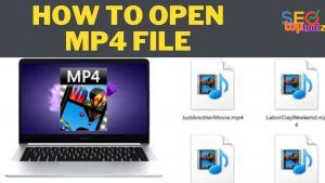 Read more about the article How to Open Mp4 Files | How to Open, Play, Edit, & Convert MP4 Files – seotoptoolz