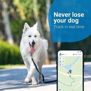 4 Best Dog GPS Tracker 2022 | Best Dog Tracker 2022 | Best Dog Trackers for Small Dogs