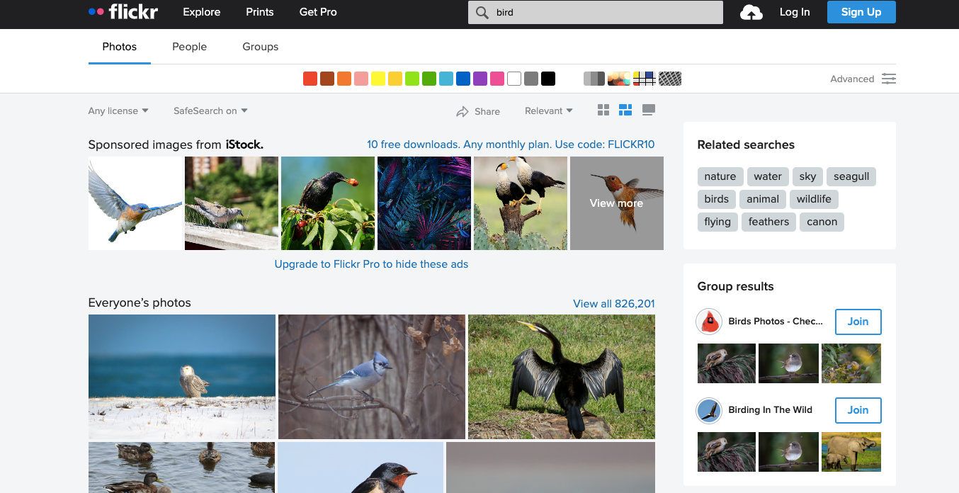 Flickr best image search engine